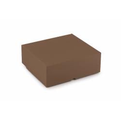 Karton fasonowy Mocha 300X260X110mm
